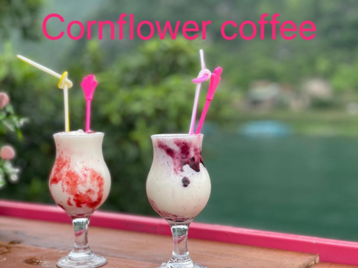 Cornflower Homestay Phong Nha Buitenkant foto