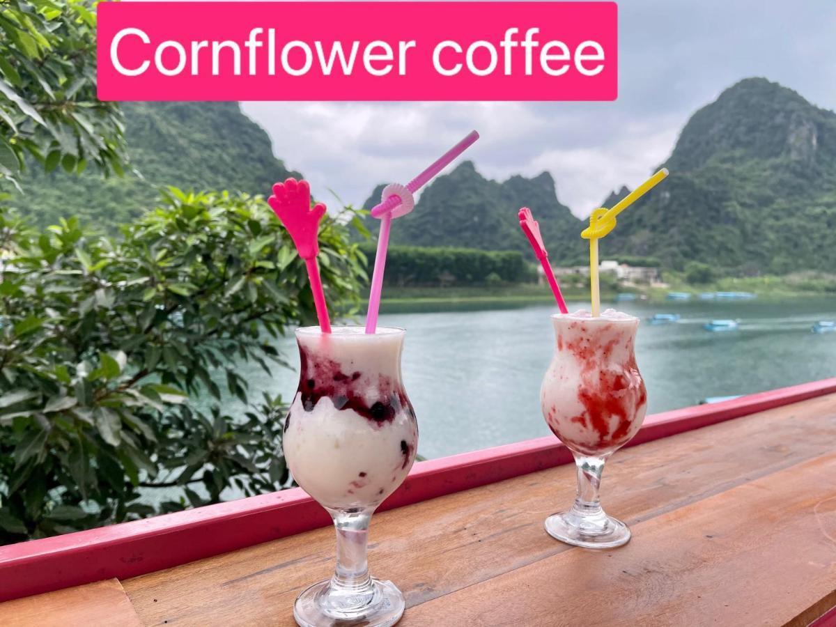 Cornflower Homestay Phong Nha Buitenkant foto