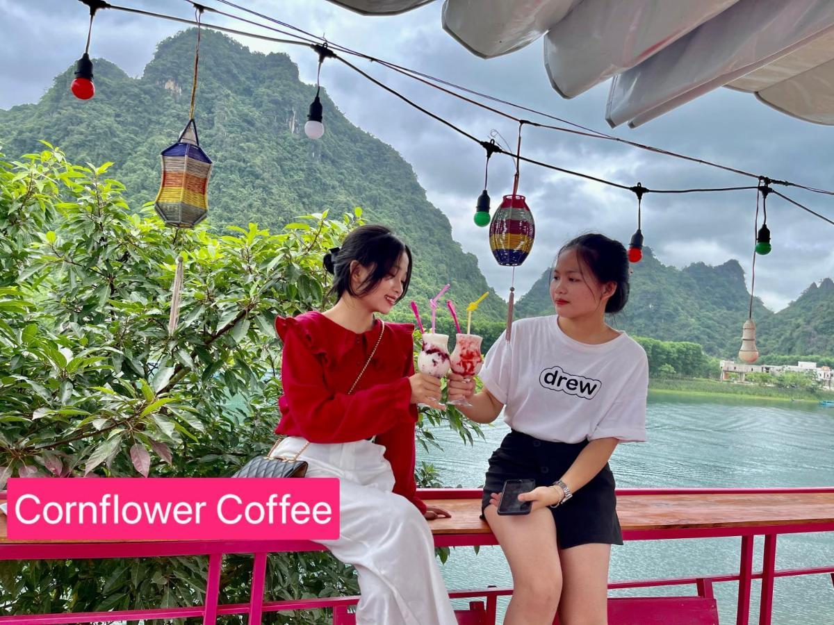 Cornflower Homestay Phong Nha Buitenkant foto