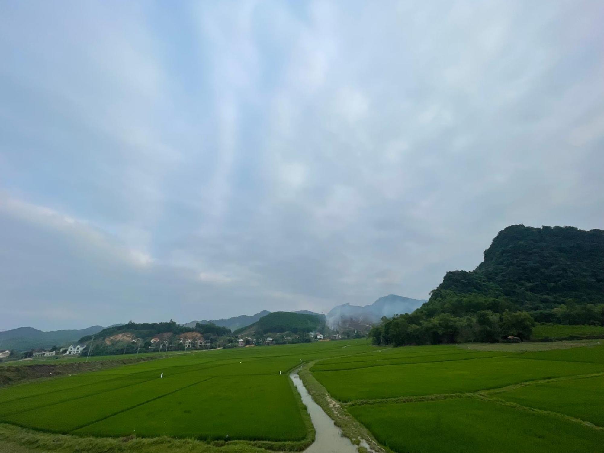Cornflower Homestay Phong Nha Buitenkant foto