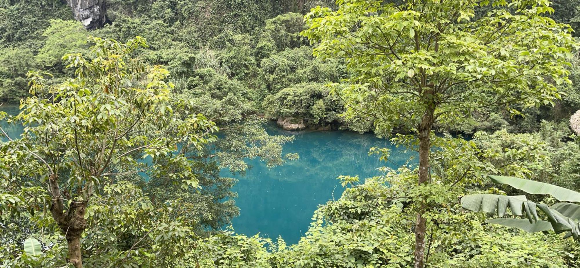 Cornflower Homestay Phong Nha Buitenkant foto